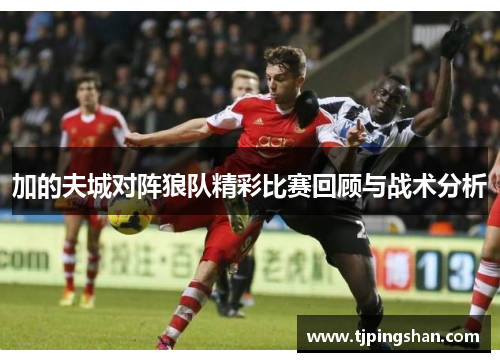 加的夫城对阵狼队精彩比赛回顾与战术分析